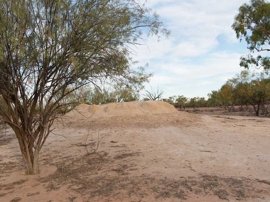 Mud Springs, Eulo, QLD