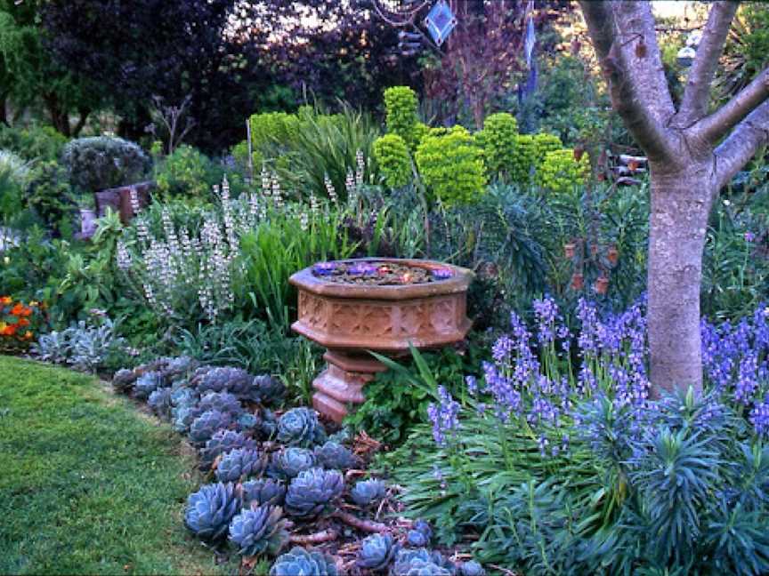 Out of Town Nursery and Humming Garden, Chiltern, VIC