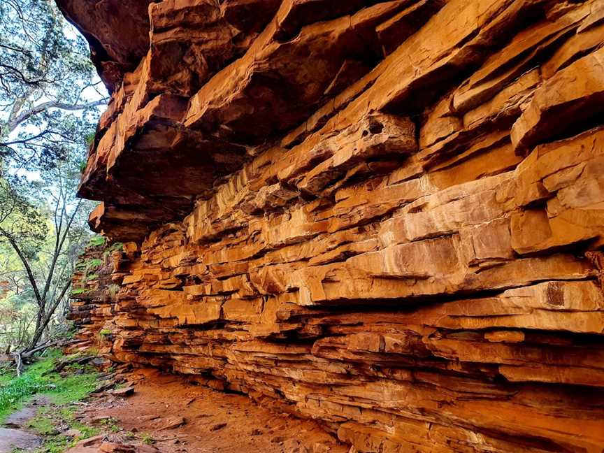 Alligator Gorge, Wilmington, SA