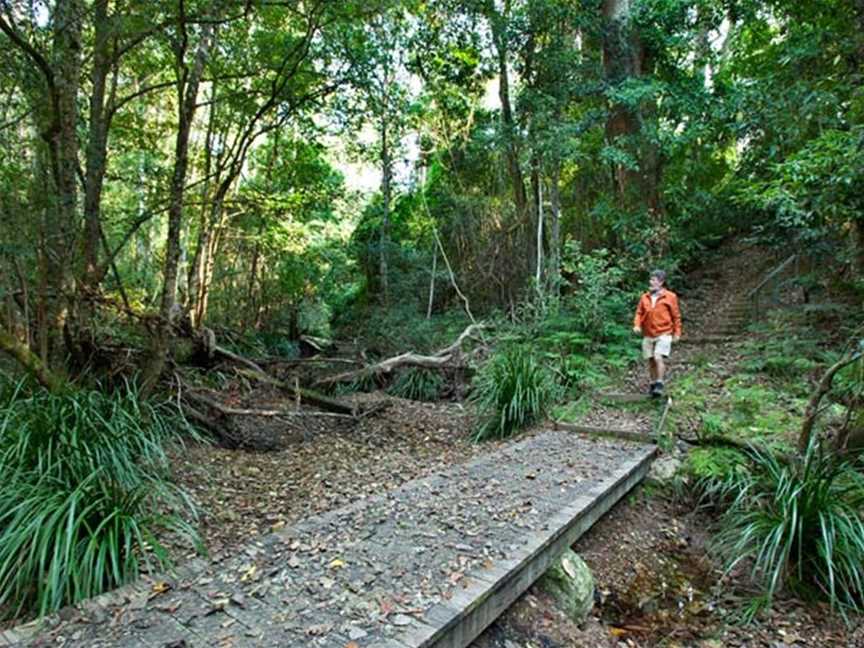 Cedar Park picnic area, Allgomera, NSW