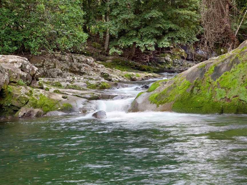 Chichester State Forest - Allyn River, Upper Allyn, NSW