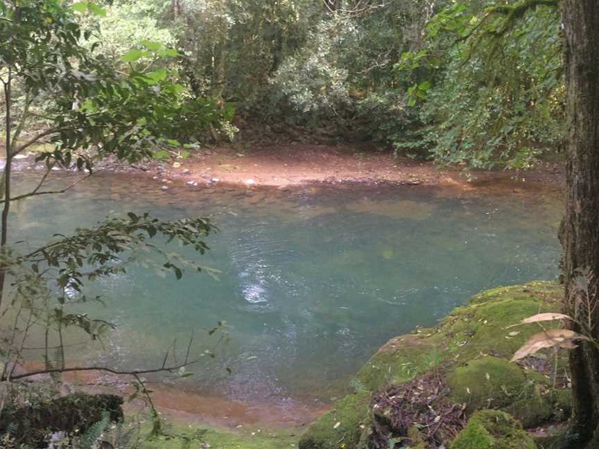 Chichester State Forest - Allyn River, Upper Allyn, NSW