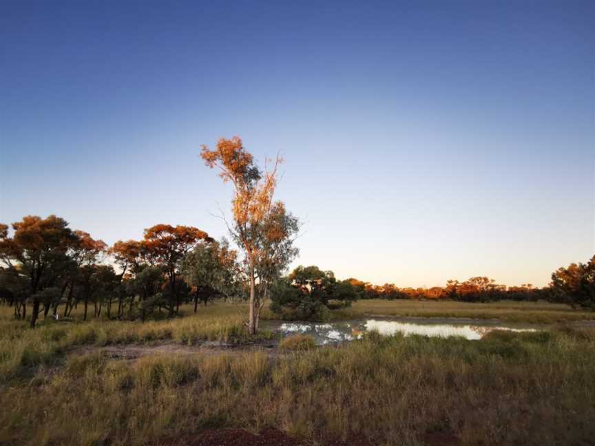 Moorrinya National Park, Hughenden, QLD