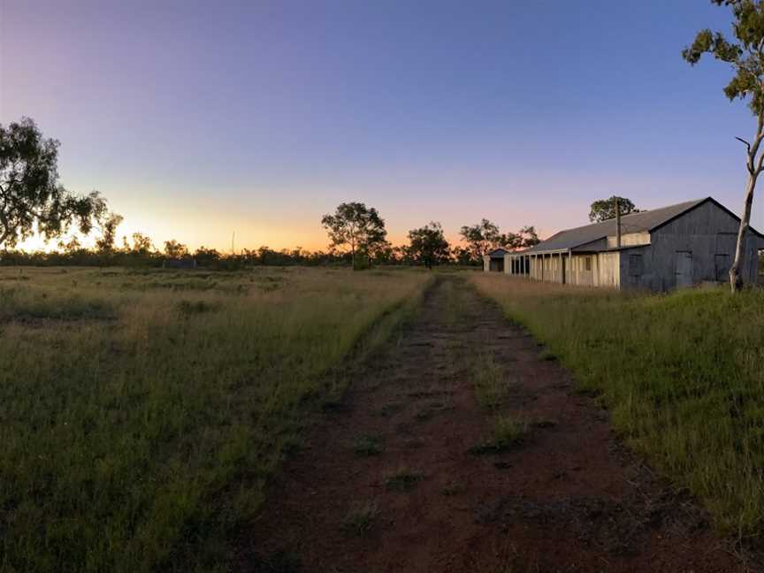 Moorrinya National Park, Hughenden, QLD