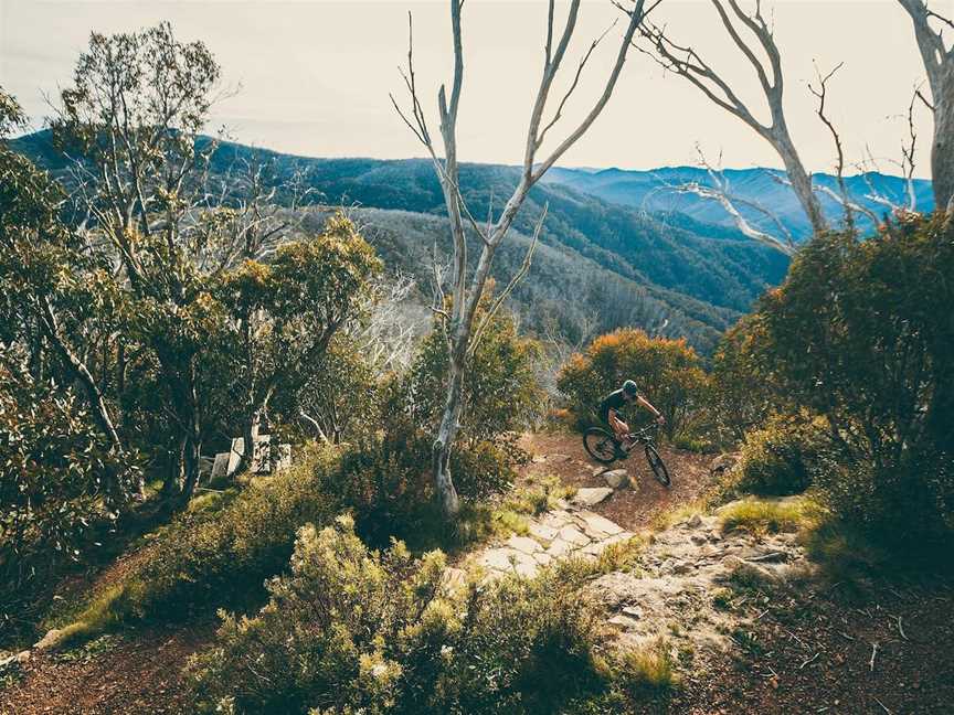 Australian Alpine Epic Mountain Bike Trail, Mount Buller, VIC