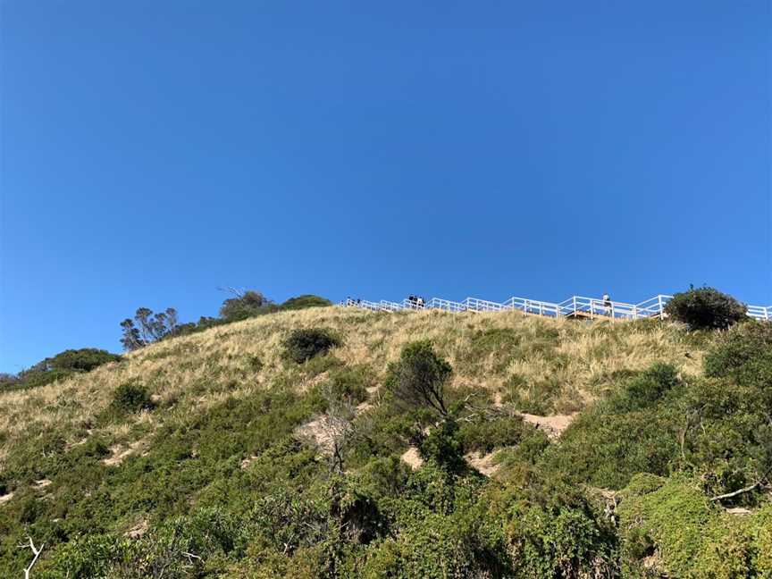 Bruny Island Neck, Bruny Island, TAS