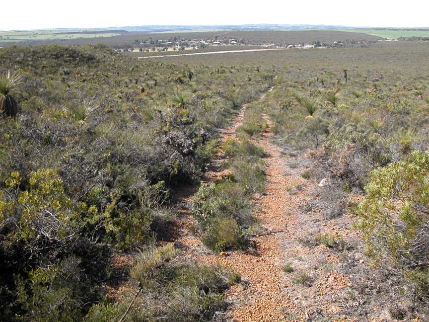 Badgingarra National Park, Badgingarra, WA