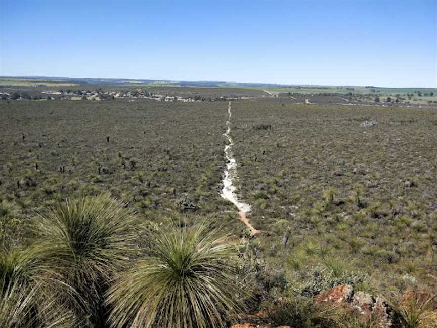 Badgingarra National Park, Badgingarra, WA