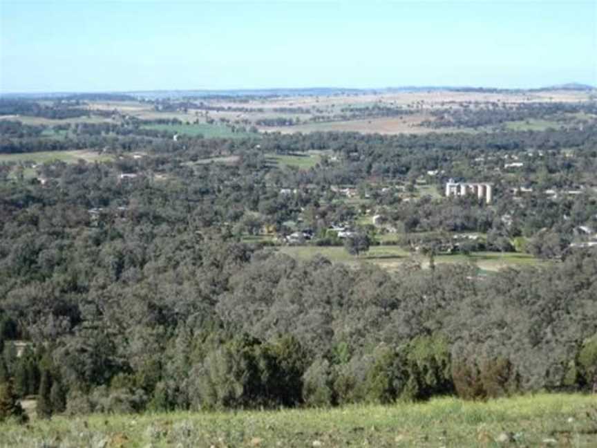 Bald Hill Reserve, Geurie, NSW