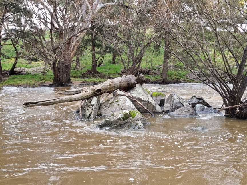 Bakers Shaft Reserve, Burnt Yards, NSW