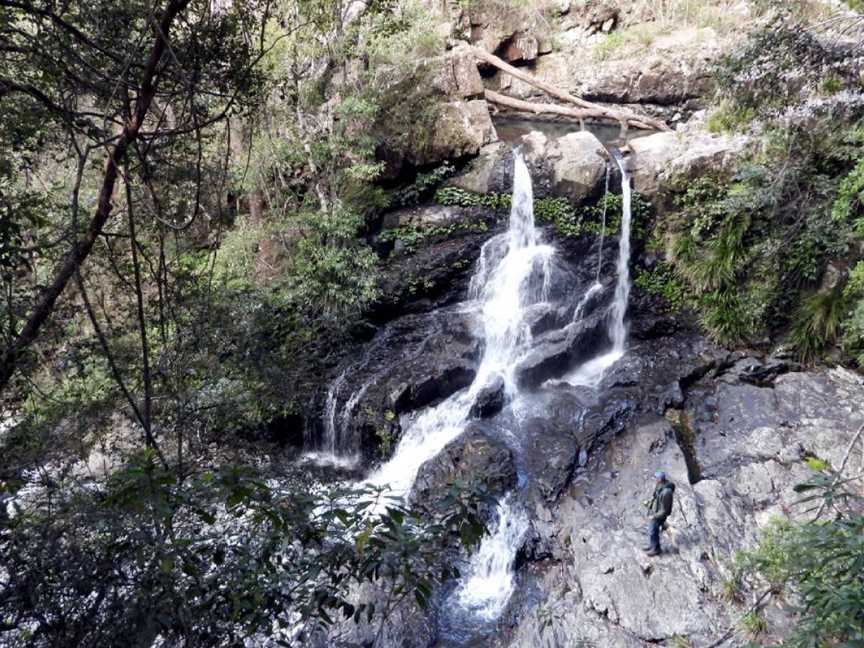 Bangalore Falls Walking Track, Brooklana, NSW