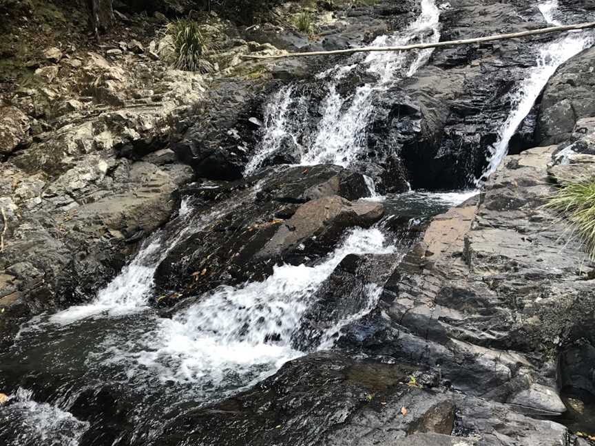 Bangalore Falls Walking Track, Brooklana, NSW