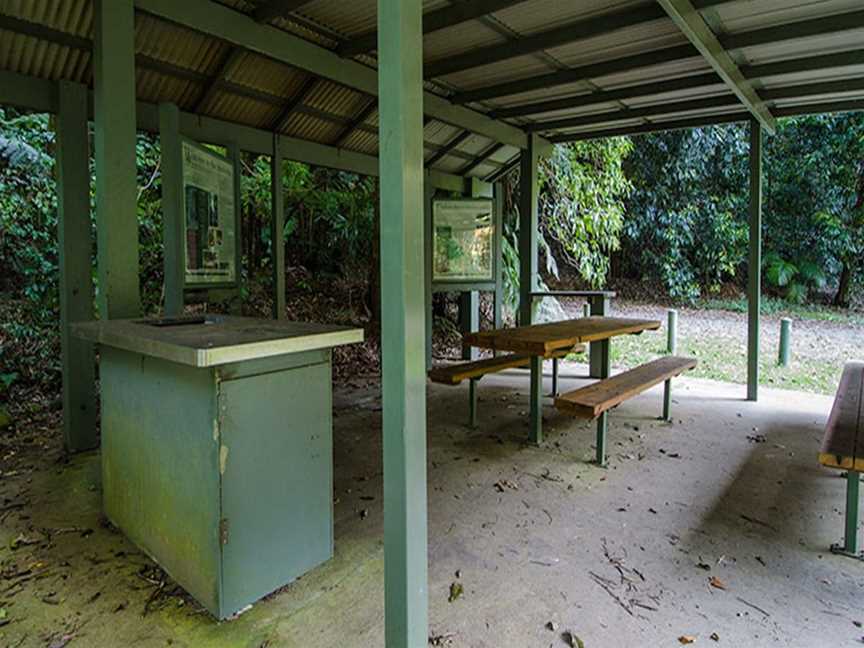 Wilson River picnic area, Banda Banda, NSW