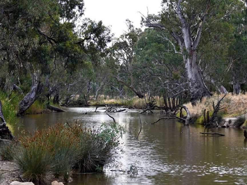 Weir Park and Wetlands, Horsham, VIC