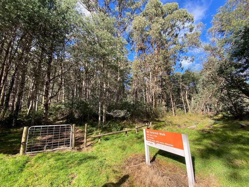 Mount Torbreck Summit Walk, Eildon, VIC