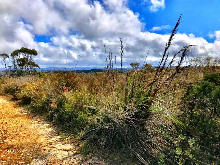 Barren Grounds Nature Reserve, Barren Grounds, NSW