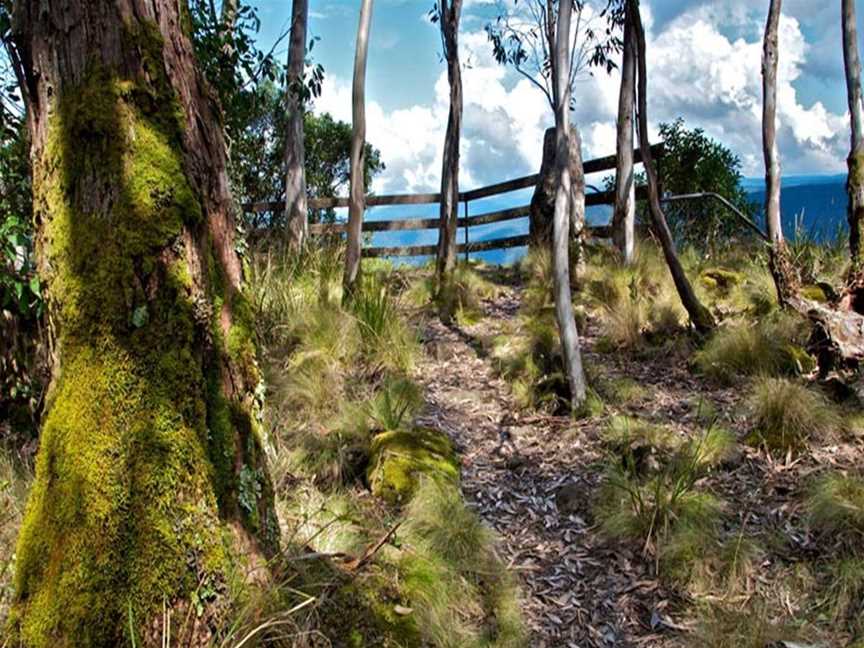 Thunderbolts lookout, Barrington Tops, NSW