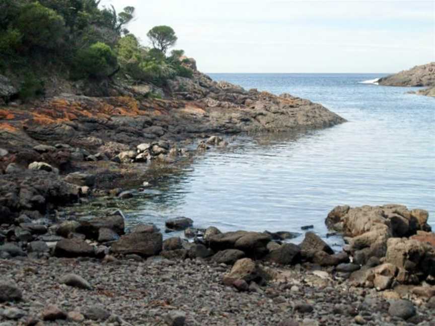 Bass Point Reserve, Shellharbour, NSW