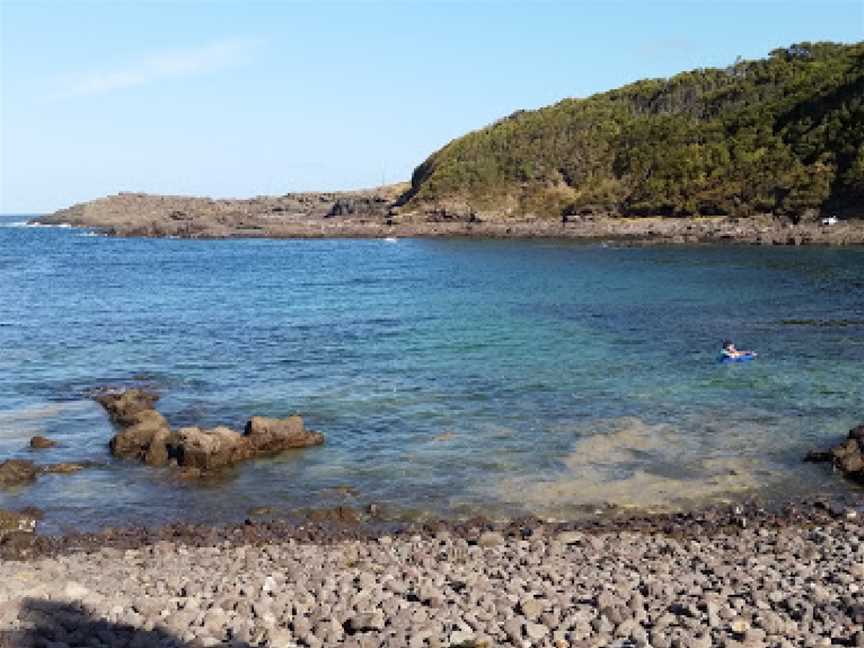 Bass Point Reserve, Shellharbour, NSW