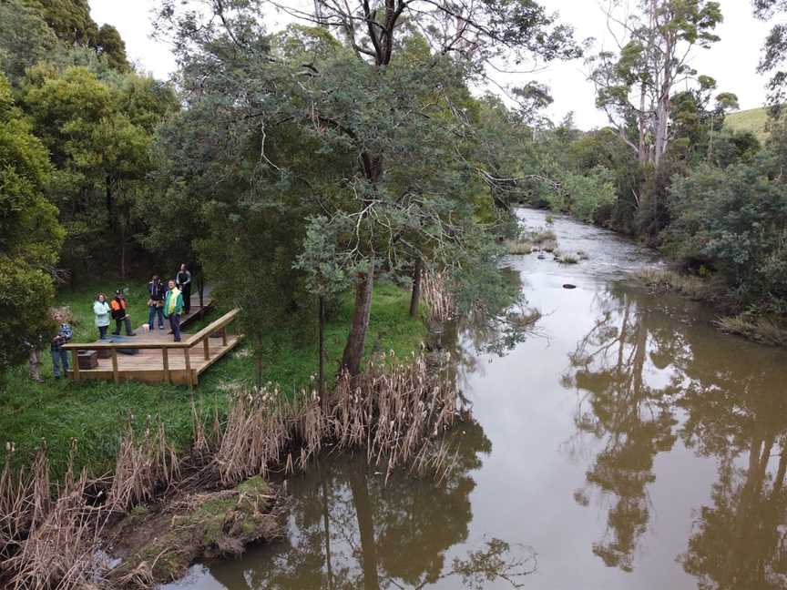 Pipers River Board Walk, Pipers River, TAS