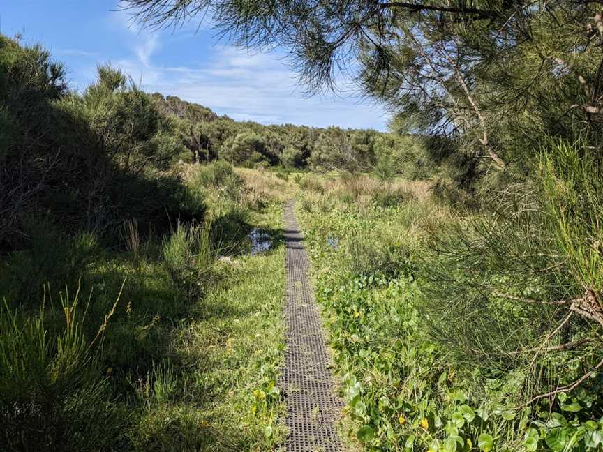 Murramarang Aboriginal Area, Bawley Point, NSW