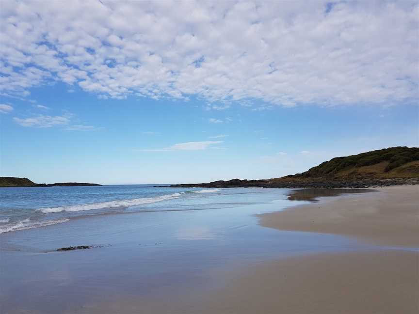 Murramarang Aboriginal Area, Bawley Point, NSW