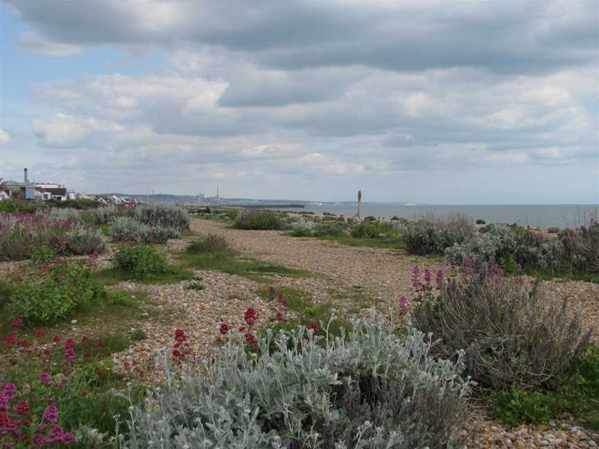 Shoreham Beach, Shoreham, VIC