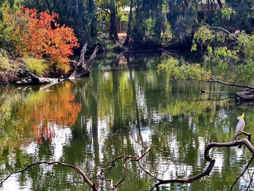 Wollundry Lagoon, Wagga Wagga, NSW