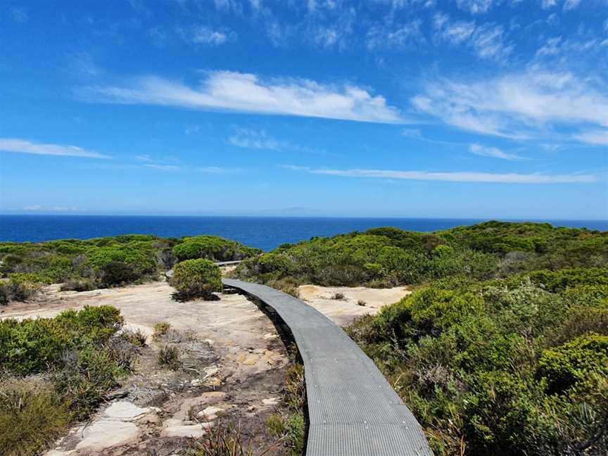 The Coast track, Bundeena, NSW