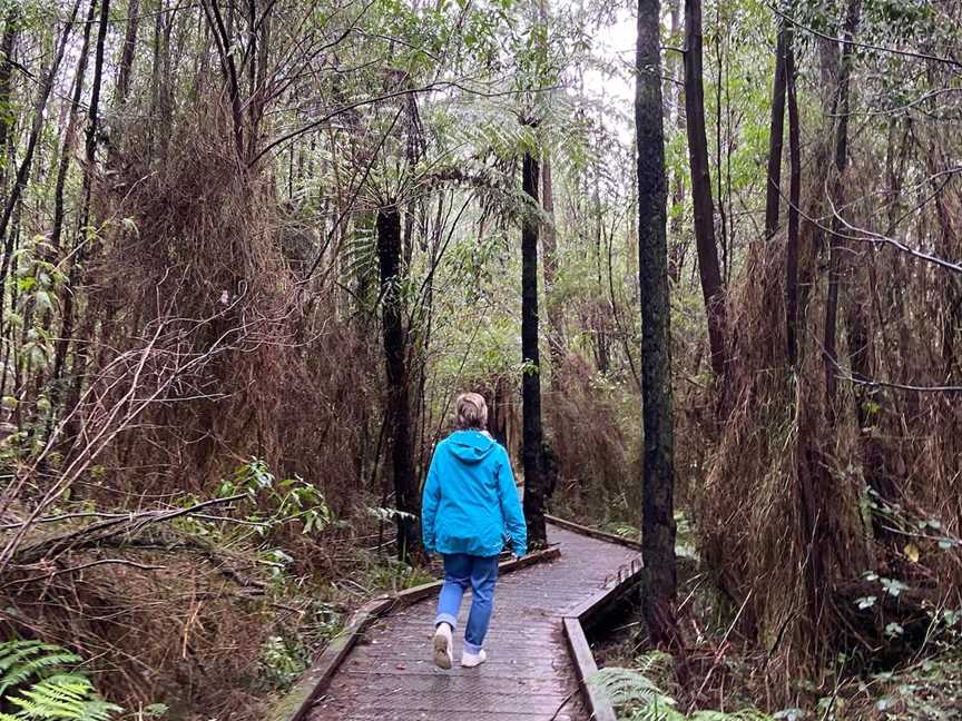 Beauty Spot Nature Trail, Marysville, VIC