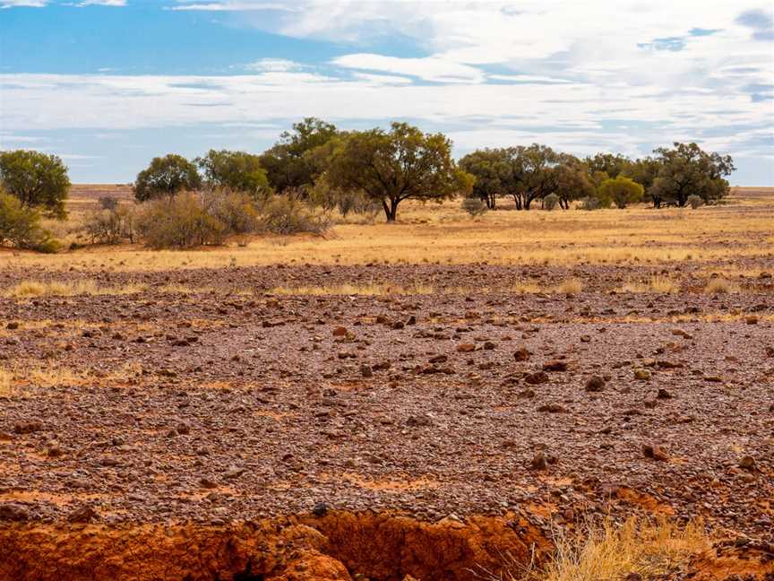 Diamantina National Park, Bedourie, QLD