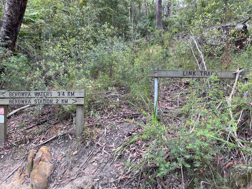 Great North walk - Berowra Valley National Park, Pennant Hills, NSW