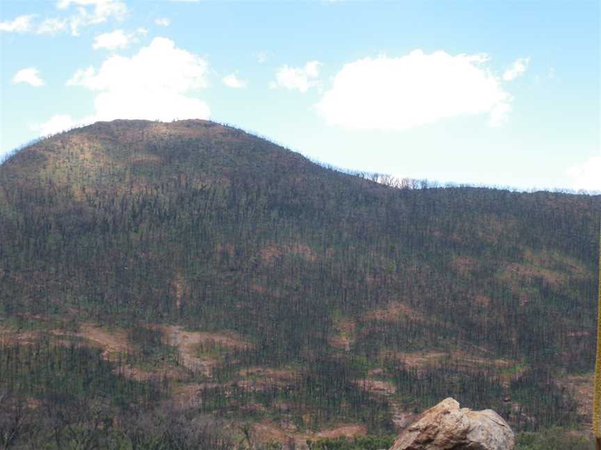 Warrumbungle National Park, Warrumbungle, NSW