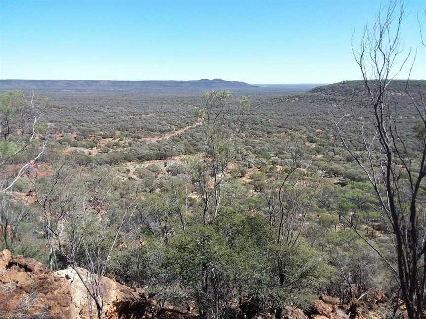 Idalia National Park, Blackall, QLD