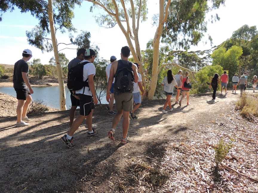 Merredin Peak Trail, Merredin, WA