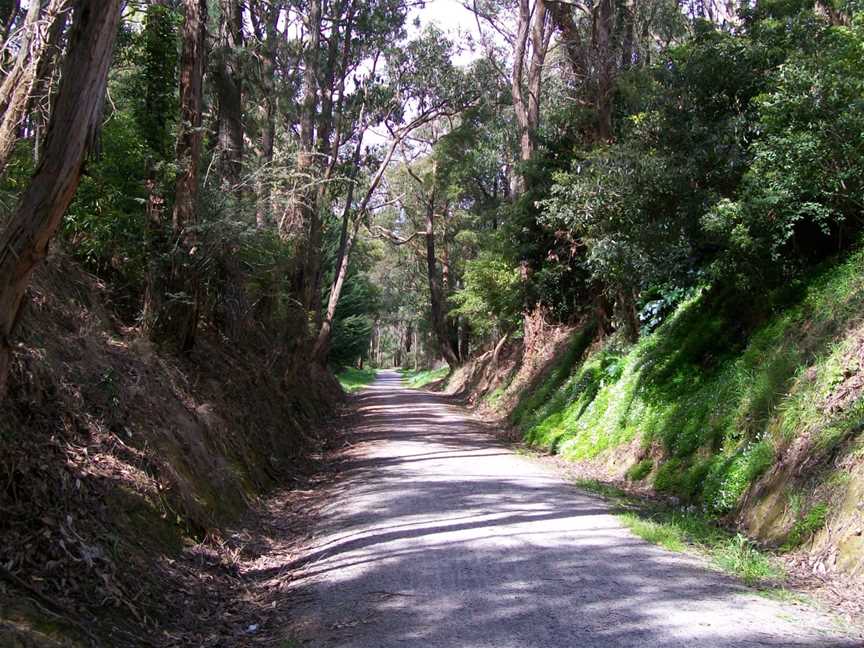 Lilydale to Warburton Rail Trail, Lilydale, VIC