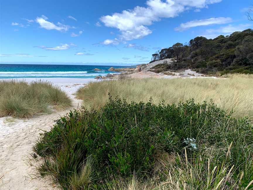 Binalong Bay - Jeanneret beach, Binalong Bay, TAS