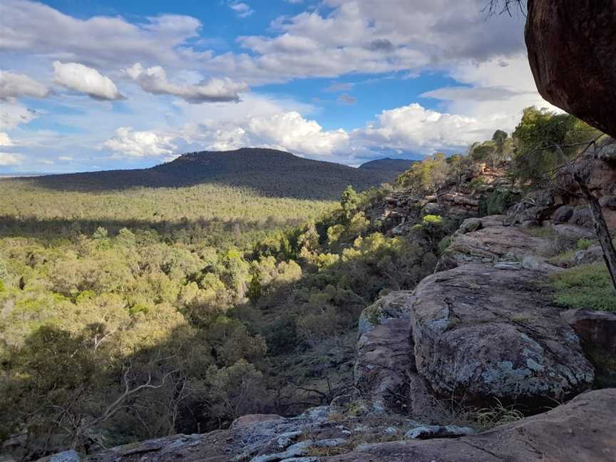 Spring Hill picnic area, Binya, NSW