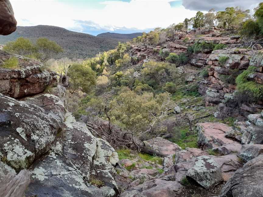 Spring Hill picnic area, Binya, NSW