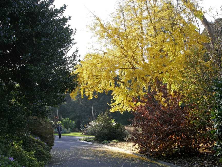 Royal Botanic Gardens Victoria, Melbourne Gardens, Melbourne, VIC