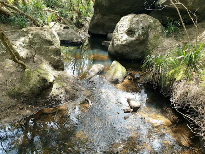 Bomaderry Creek Regional Park, North Nowra, NSW