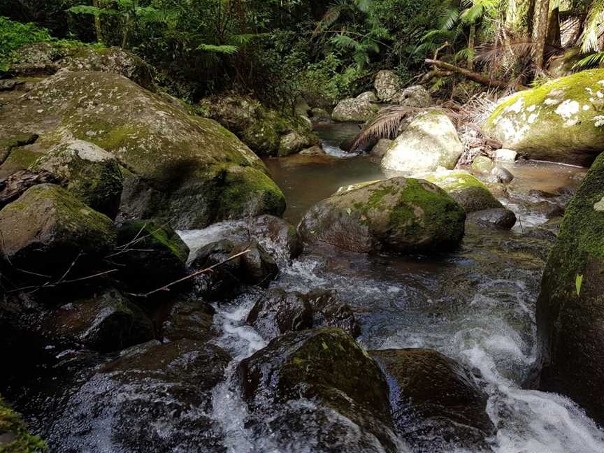 Brushbox Falls lookout, Border Ranges, NSW