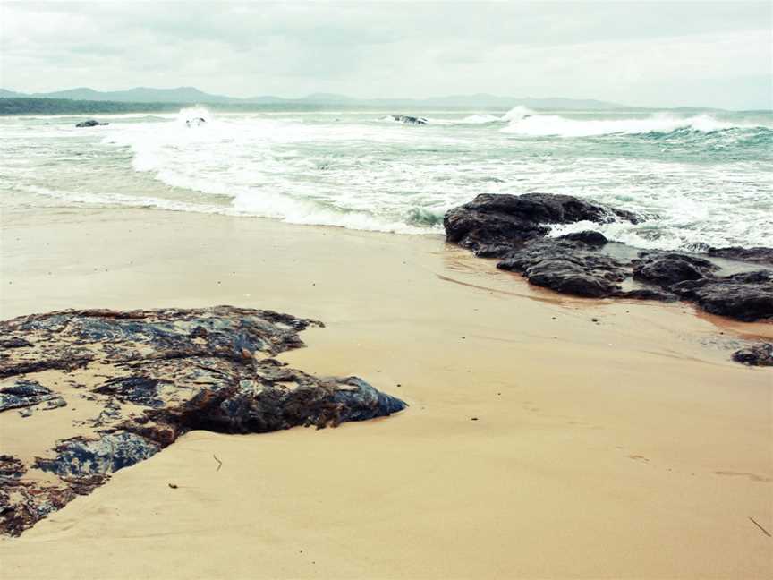 Bongil Bongil National Park, Sawtell, NSW