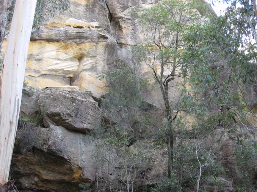 Box Vale Walking Track and Picnic Area, Woodlands, NSW