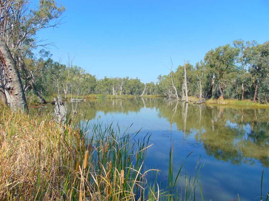 Gunbower National Park, Gunbower, VIC