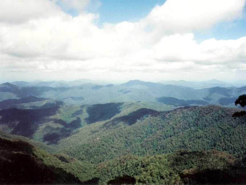 New England National Park, Brinerville, NSW