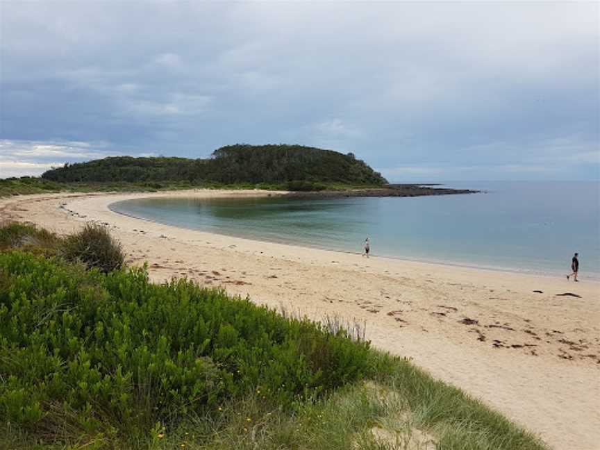 Broulee Island Nature Reserve Walk, Broulee, NSW