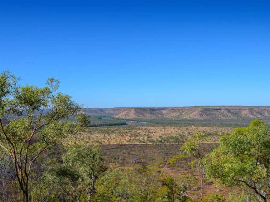 Drover’s Rest Boab Trees, Bullita, Timber Creek, NT