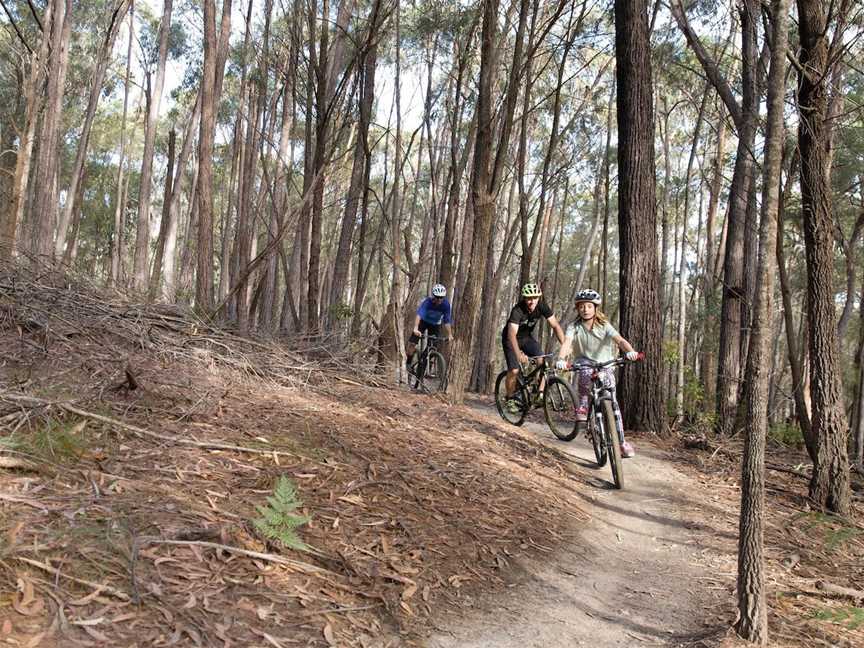 Tathra Mountain Bike Trails, Tathra, NSW