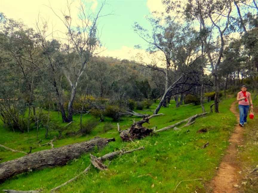 Livingstone National Park, Burrandana, NSW